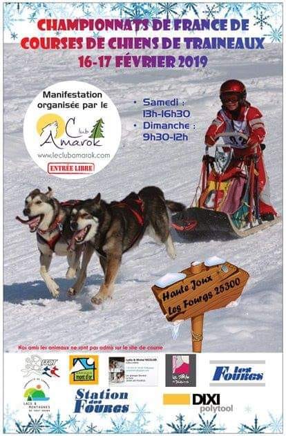 Chiens de traineaux 2019