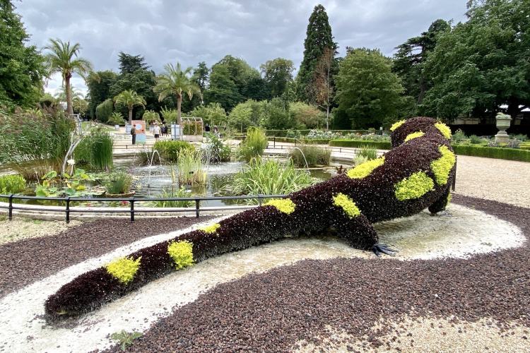 Festival Graines de Jardin (Rouen)