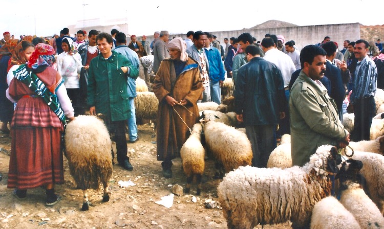 Marché 8