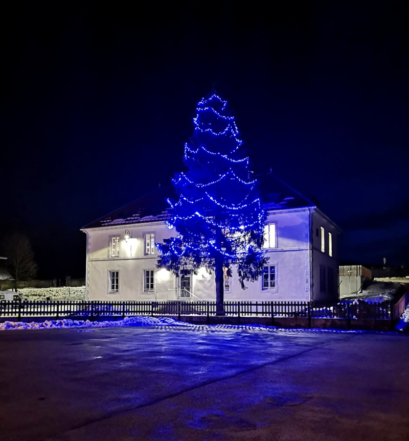 Sapin illuminé bibliotheque JS