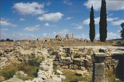 Maroc Volubilis 4