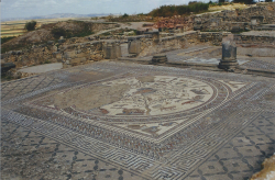 Maroc Volubilis 6