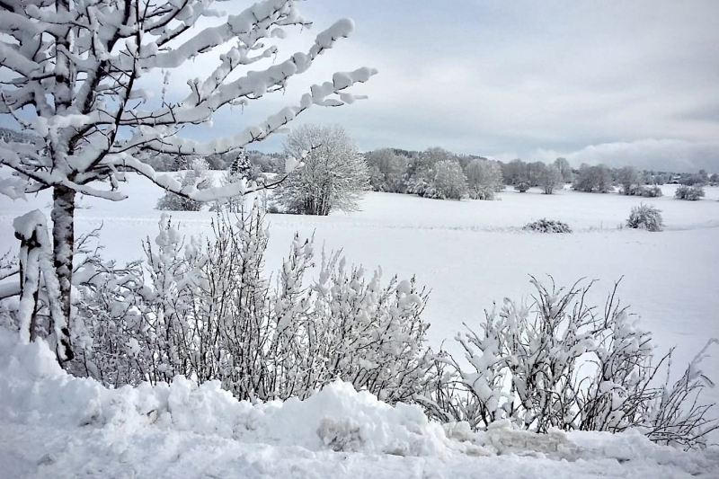 2020-12-05 Les Fourgs Neige 1