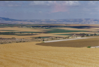 Maroc Volubilis 2