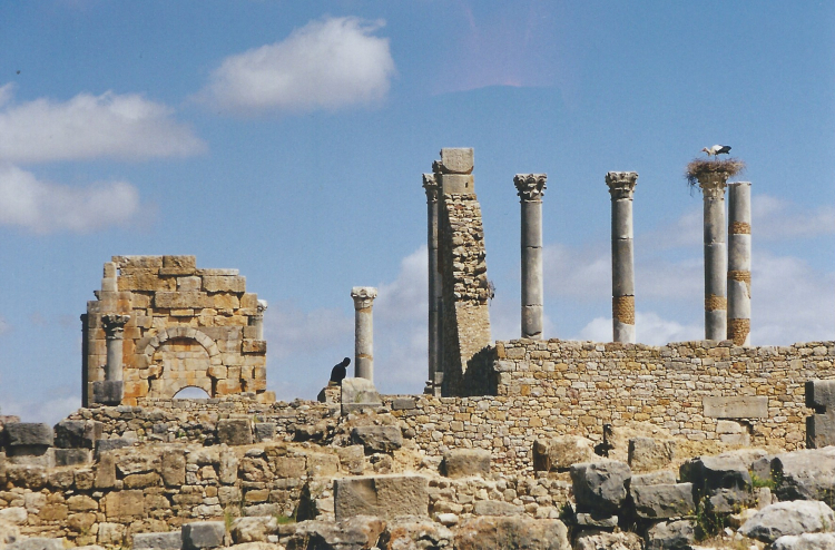 Maroc Volubilis 5