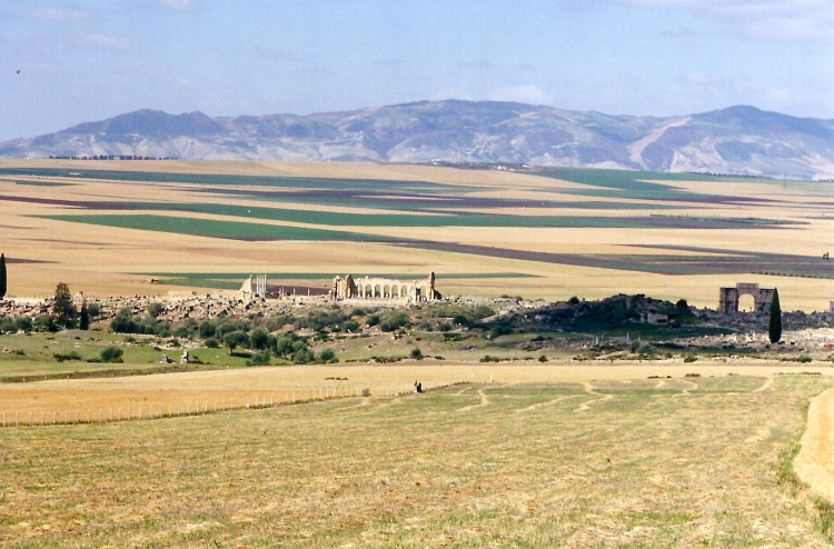 Maroc Volubilis 1