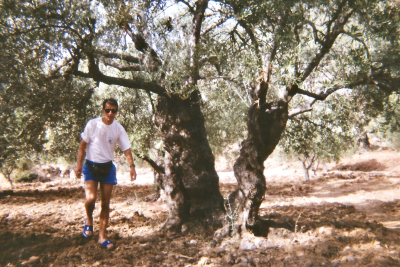 CRETE_MARC_Arbres_dessous