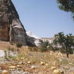 Turquie 1998-08-23 Cappadoce copie