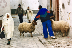 Marché 1