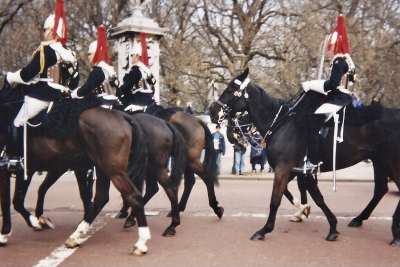 Londres Garde Cheval 1