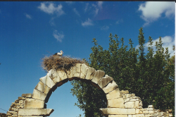 Maroc Volubilis 3