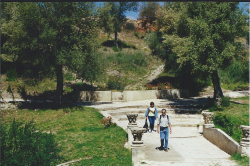 Maroc Volubilis 8