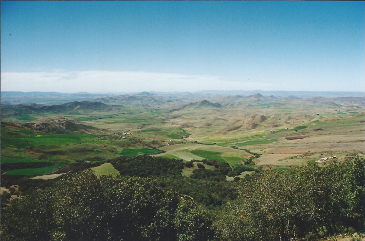 Maroc Azrou sur la route 1